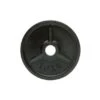10kg Cast Iron Olympic Weight (1of) -The Gym Revolution 10kg cast