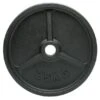 25kg Cast Iron Olympic Weight (1of) 2 25kg Cast Iron Olympic Weight (1of) -The Gym Revolution 25kg cast