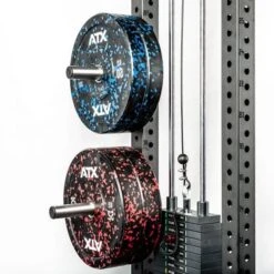 ATX Olympic Storage Weight Plate Pins (Pair) -The Gym Revolution atx wpp 1