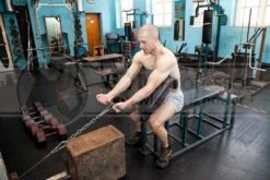 Gentleman's Moustache Cable Handle -The Gym Revolution cable preacher curls start