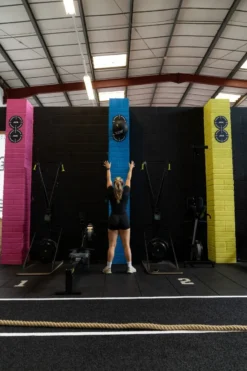 JAWS Bite-Size Wall Ball Target 14 JAWS Bite-Size Wall Ball Target -The Gym Revolution cxp7917