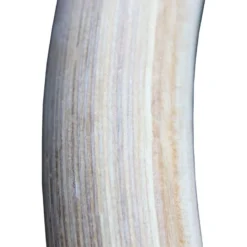 ATX Wooden Gym Rings 16 ATX Wooden Gym Rings -The Gym Revolution gym rings holz 1 paar inklusive straps 3467 4