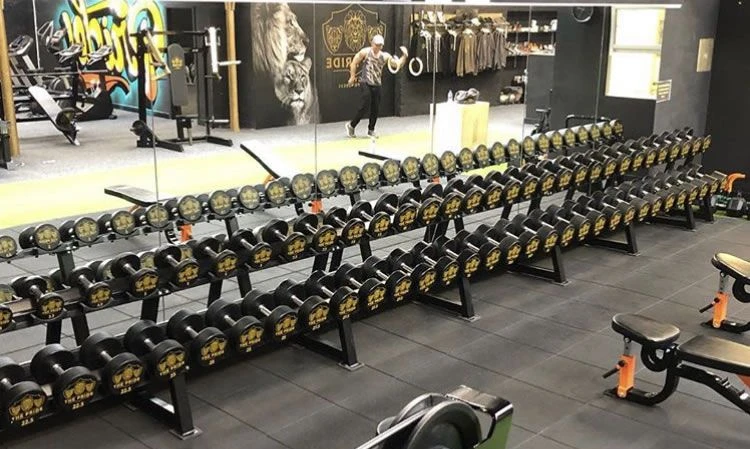 Custom Logo Pro Urethane Dumbbells Set 12 Custom Logo Pro Urethane Dumbbells Set - Image 10