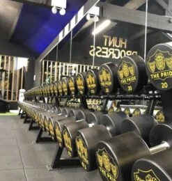 Custom Logo Pro Urethane Dumbbells Set 13 Custom Logo Pro Urethane Dumbbells Set -The Gym Revolution img 6002